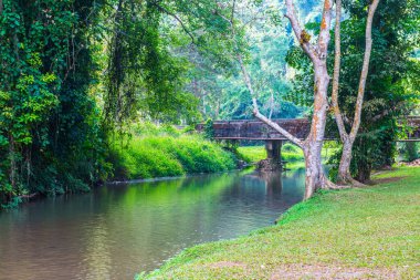 Phu Sang Ulusal Parkı, Tayland manzarası.