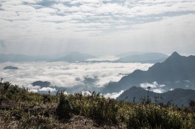 Chiangrai Eyaleti, Tayland 'daki Phu Chi Fa Manzara Noktasında Sis Denizi.