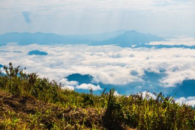 Chiangrai Eyaleti, Tayland 'daki Phu Chi Fa Manzara Noktasında Sis Denizi.