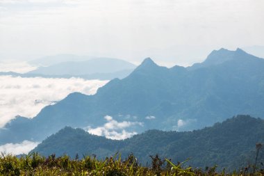Chiangrai Eyaleti, Tayland 'daki Phu Chi Fa Manzara Noktasında Sis Denizi.