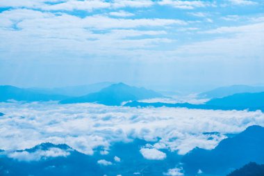 Chiangrai Eyaleti, Tayland 'daki Phu Chi Fa Manzara Noktasında Sis Denizi.