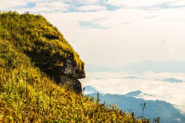 Chiangrai Eyaleti, Tayland 'daki Phu Chi Fa Manzara Noktasında Sis Denizi.