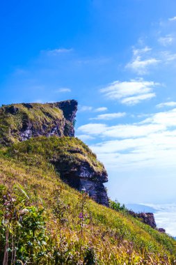 Chiangrai, Tayland 'da Fog Sea ile Phu Chi Fa Manzara Noktası.