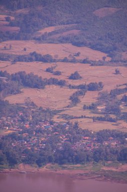 Chiangrai Eyaleti, Tayland 'da Doi Pha Tang' da Top View.