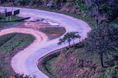 Chiangrai, Tayland 'da Doi Pha Tang yolu..