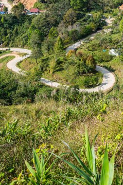 Tayland 'ın Chiangrai eyaletindeki Doi Pha Tang' da Dağ Manzarası.