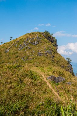 Tayland 'ın Chiangrai eyaletindeki Doi Pha Tang' da Dağ Manzarası.