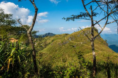 Tayland 'ın Chiangrai eyaletindeki Doi Pha Tang' da Dağ Manzarası.