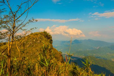 Chiangrai Eyaleti, Tayland 'da Doi Pha Tang' da Top View.