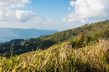 Tayland 'ın Chiangrai eyaletindeki Doi Pha Tang' da Dağ Manzarası.