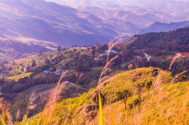 Tayland 'ın Chiangrai eyaletindeki Doi Pha Tang' da Dağ Manzarası.