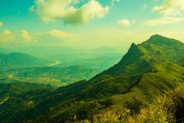 Tayland 'ın Chiangrai eyaletindeki Doi Pha Tang' da Dağ Manzarası.