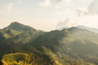 Tayland 'ın Chiangrai eyaletindeki Doi Pha Tang' da Dağ Manzarası.