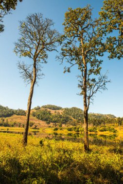 Tayland 'ın Chiangmai eyaletinde Moiuntain manzarası.