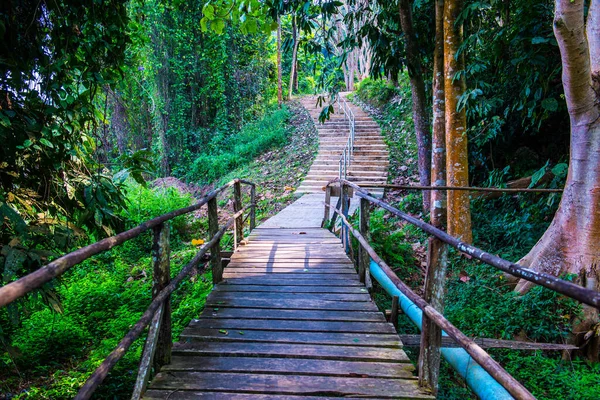 タイのドイ ナン国立公園にある小さな橋 — ストック写真
