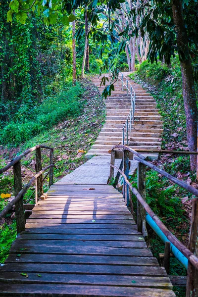 Petit Pont Dans Parc National Doi Phu Nang Thaïlande — Photo