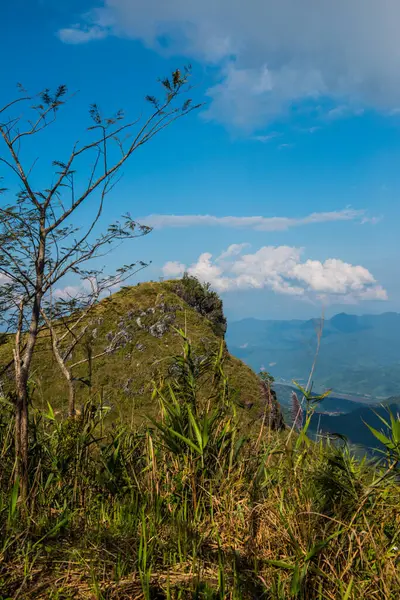 Chiangrai Eyaleti, Tayland 'da Doi Pha Tang' da Top View.