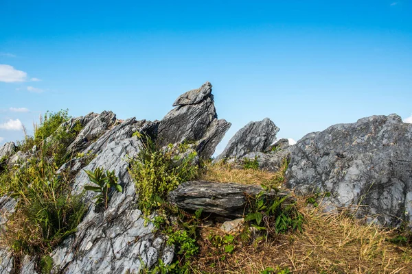 Chiangrai, Tayland 'da Doi Pha Tang' da Manzara Noktası.