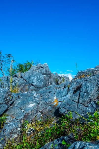 stock image View Point at Doi Pha Tang in Chiangrai Province, Thailand.