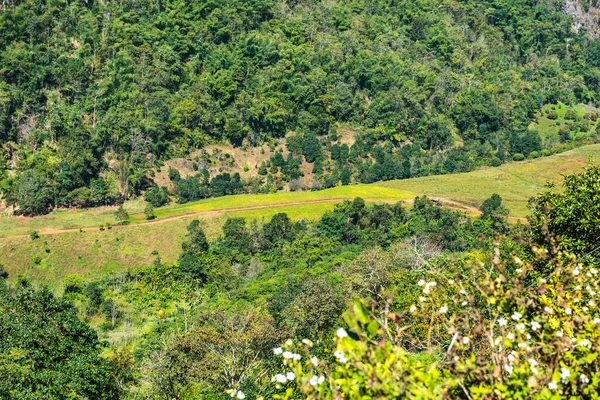 Ponto Vista Sobre Montanha Província Chiangmai Tailândia — Fotografia de Stock