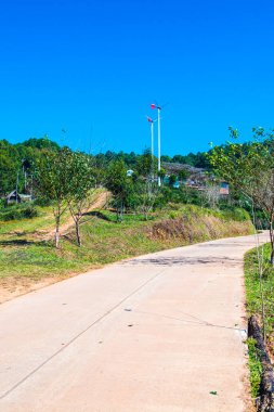Manzara Görünümü Çay Çiftliği 2000, Tayland.