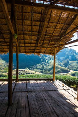 Çay Çiftliği 2000 Tayland 'da dağ manzaralı küçük bir huzurevi..