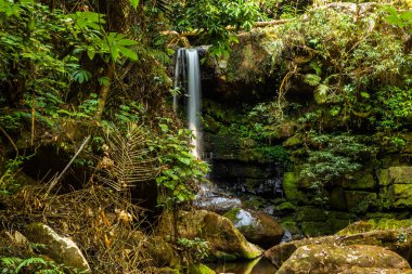 Tayland, Bokuai bölgesinde Sapan şelalesi.