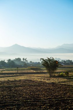 Sabahın erken saatlerinde, Tayland 'ın Pua ilçesindeki tarım arazisi..