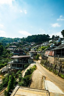 Pha Hi village on the mountain, Chiang Rai province.