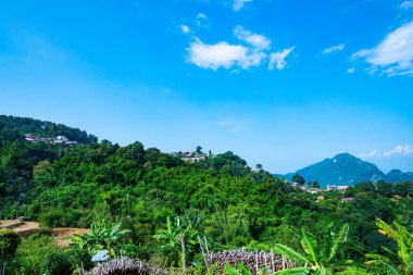 Pha Hi village on the mountain, Chiang Rai province.