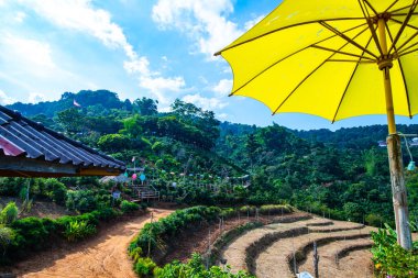 Pha Hi village on the mountain, Chiang Rai province.