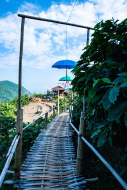 Bamboo bridge with mountain view in Pha Hi village, Chiang Rai province.