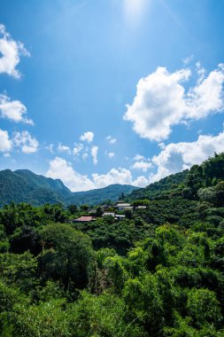 Dağ manzaralı Pha Mee köyü, Chiang Rai ili..