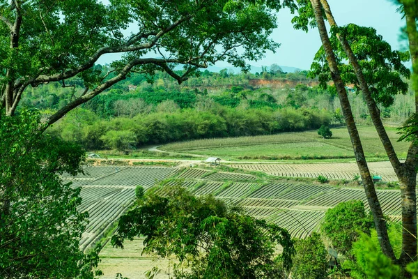 Widok Mae Khachan Prowincji Chiang Rai Tajlandia — Zdjęcie stockowe