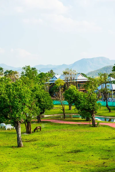 Hermoso Parque Thai Tailandia — Foto de Stock