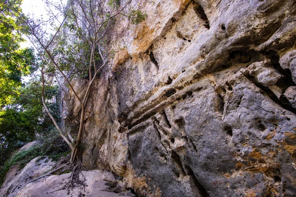 Cliff Tourist Attraction Phratupha Rock Painting Lampang Province —  Fotos de Stock