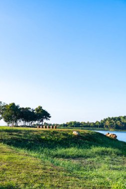 Landscape view of Mae Puem National Park, Phayao province.