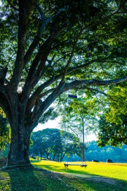 Mae Puem Ulusal Parkı 'ndaki kamp alanı, Phayao eyaleti..