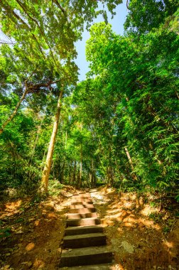 Lampang 'daki Ulusal Park' ta beton merdiven ve patika.