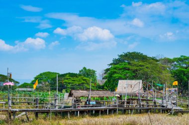 The wooden bridge with rice field at Phrathat San Don temple, Lampang province.