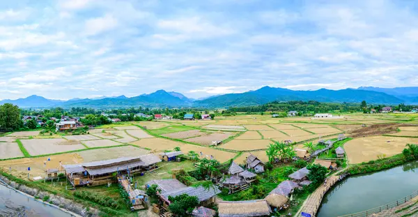 Vista Panorámica Del Campo Arroz Templo Phuket Provincia Nan — Foto de Stock