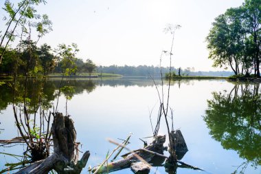 Huay Tueng Thao Lake in the early morning, the lake offers beautiful scenery and fresh air, Chiang Mai Province.