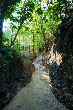 Pha Chor Tectonics Nature Trail in Mae Wang National Park, Chiang Mai Province.