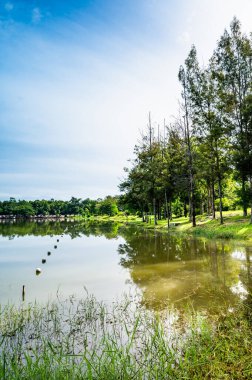 Huay Tueng Thao Reservoir in the morning, Chiang Mai Province.