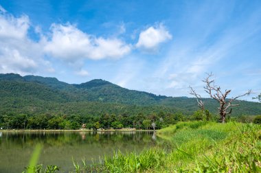 Morning view of Huay Tueng Thao Lake, Chiang Mai Province.