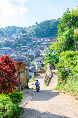 CHIANG RAI, THAILAND - November 9, 2020 : Pha Hi village on the mountain, Chiang Rai province.