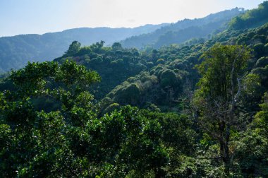 Beautiful Mountain View at Pha Hi Village, Chiang Rai Province.