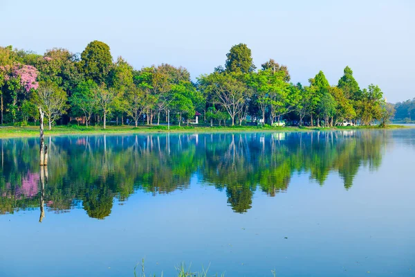Huay Tueng Thao Lake Рано Утром Озеро Предлагает Красивые Пейзажи — стоковое фото
