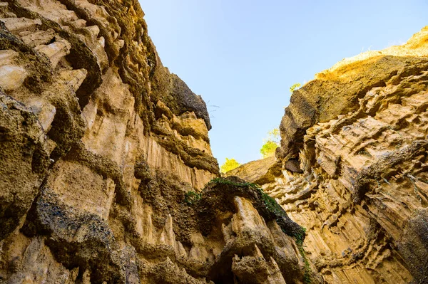 Pha Chor 岩の崖はチェンマイ県メイ王国立公園の巨大な壁や柱のような形をしています — ストック写真