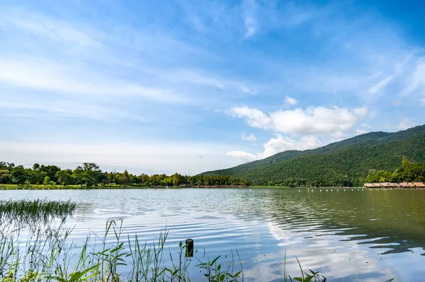 Morning View Huay Tueng Thao Lake Chiang Mai Province — Stockfoto